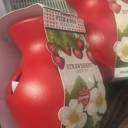 Strawberry 🍓 Kit Pot Planter Set