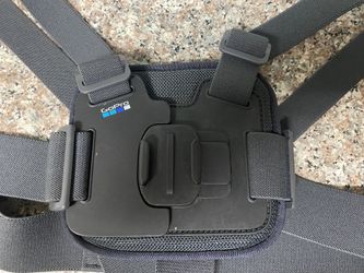 GoPro Chesty