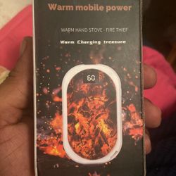 Electric Hand Warmer 