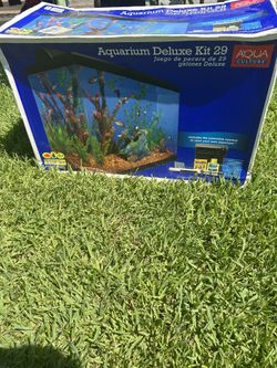 Fish Tank 
