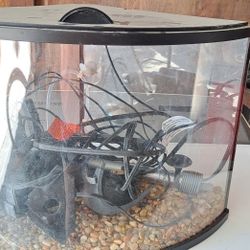 Fish Tank