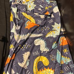 Dinosaur Car seat Cover And Baby Wrap