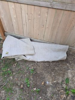 Carpet