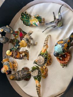 Bird Box collection