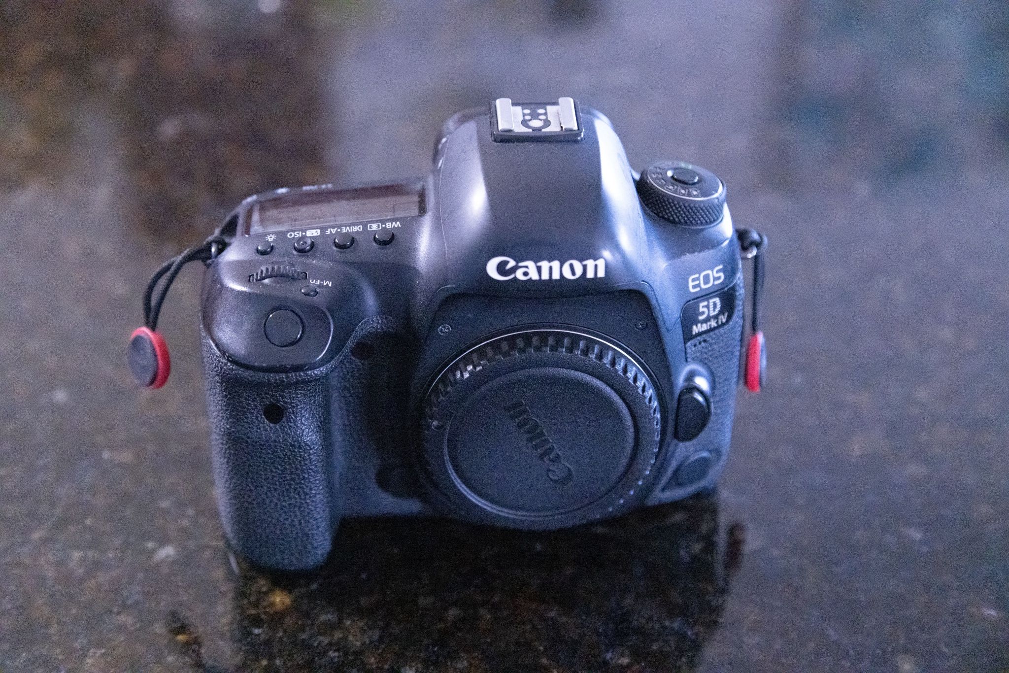 Canon 5D Mark IV