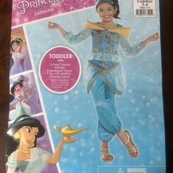 Disney Halloween Costume 