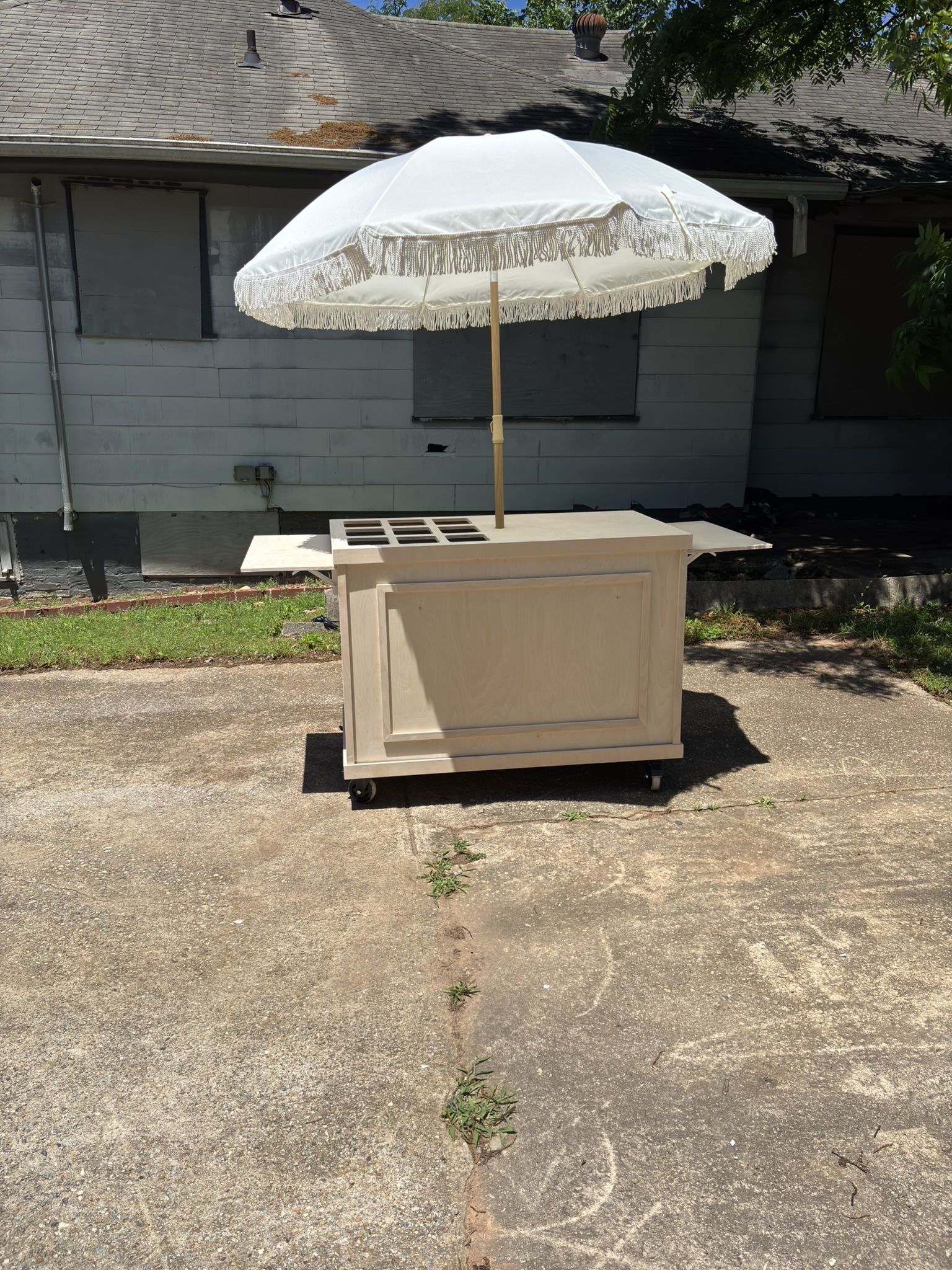 Brand-new snack cart – great for entrepreneurs or party rentals