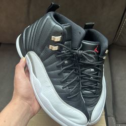 Jordan 12 Playoffs 