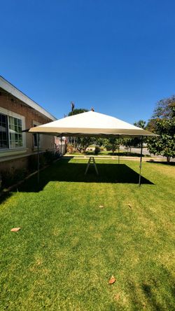 Canopy Coleman OASIS XL