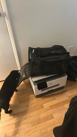 Pet Carrier