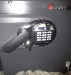 Sentry fire safe with fingerprint sensor