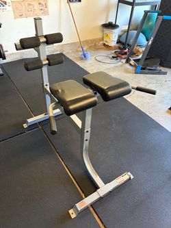 Horizontal Back Extension Roman Chair