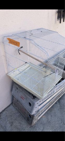 Birds and pet cages