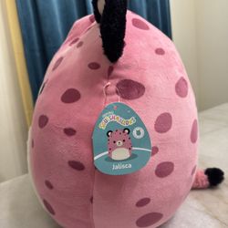 Squishmallows 16 Inch 