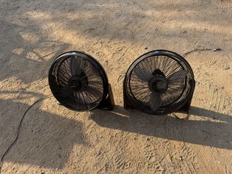 2 Pet owned fans ,15 dollars