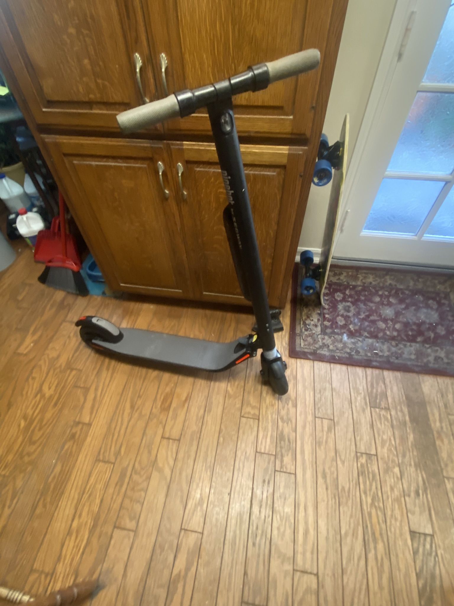 Ninebot Segway Scooter