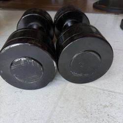 45 Lb Dumbbell Set 