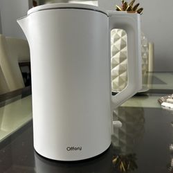Electric Tea Kettle 