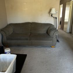  Brownish Gray Couch