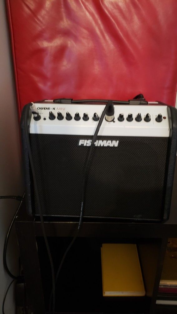 Fishman AMP Mini
