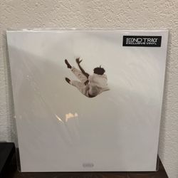 Daniel Caesar Pilgrims Paradise Second Track Vinyl