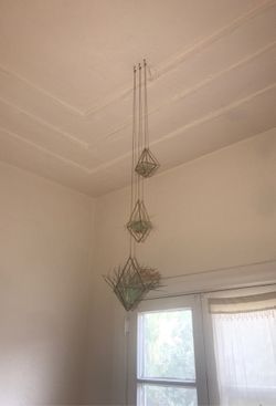 Hanging plants
