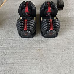 Bowflex Select Tech 552 dumbbells  $360