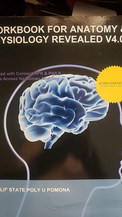 Anatomy & Physiology workbook