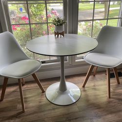 Mid-Century Modern Dining Chairs - Set of 2
