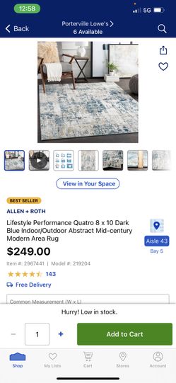 Have A New 6x 10 Rug