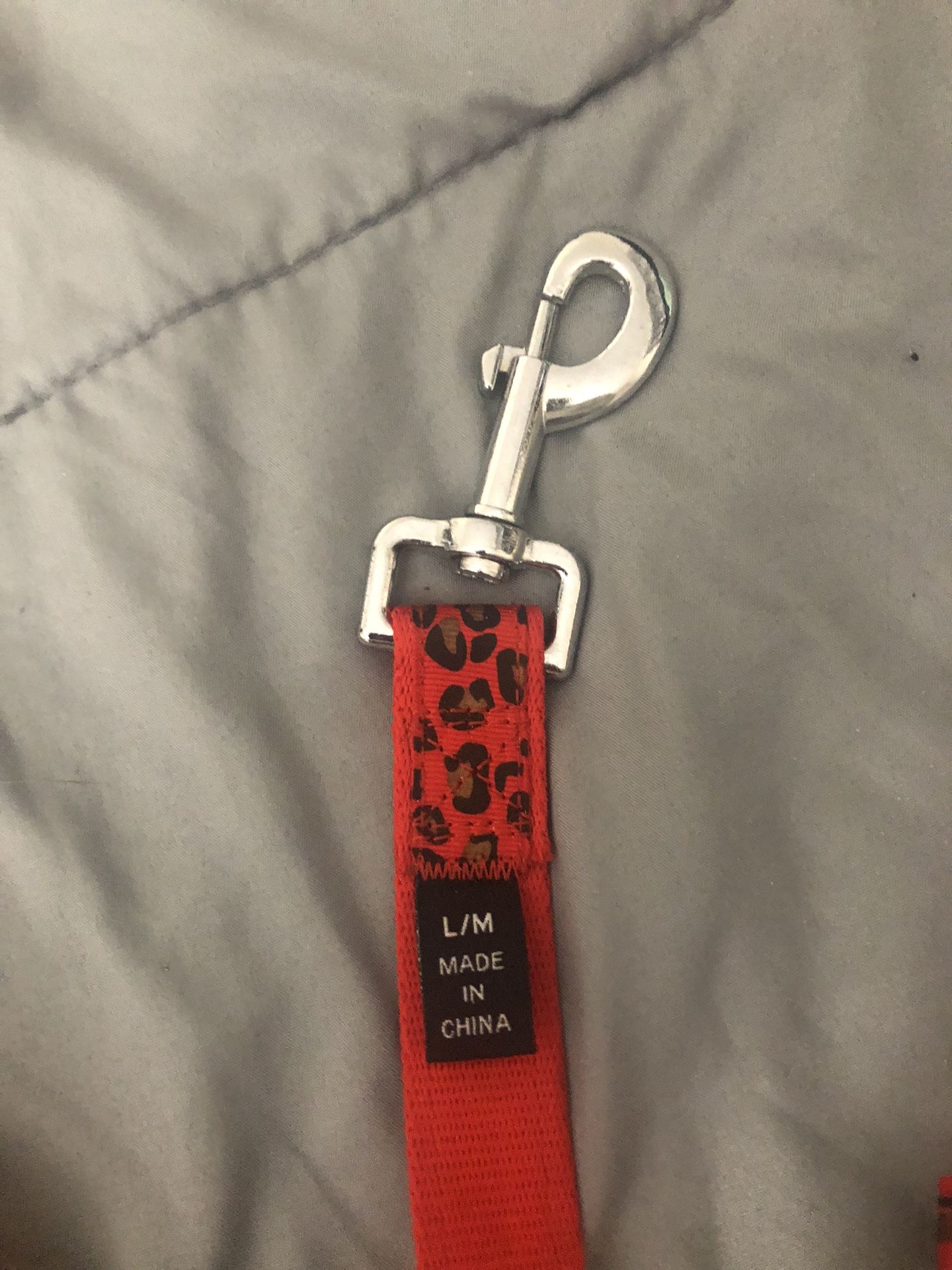 Leash