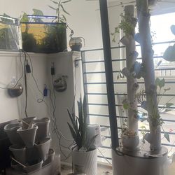 Gardyn indoor plant grower