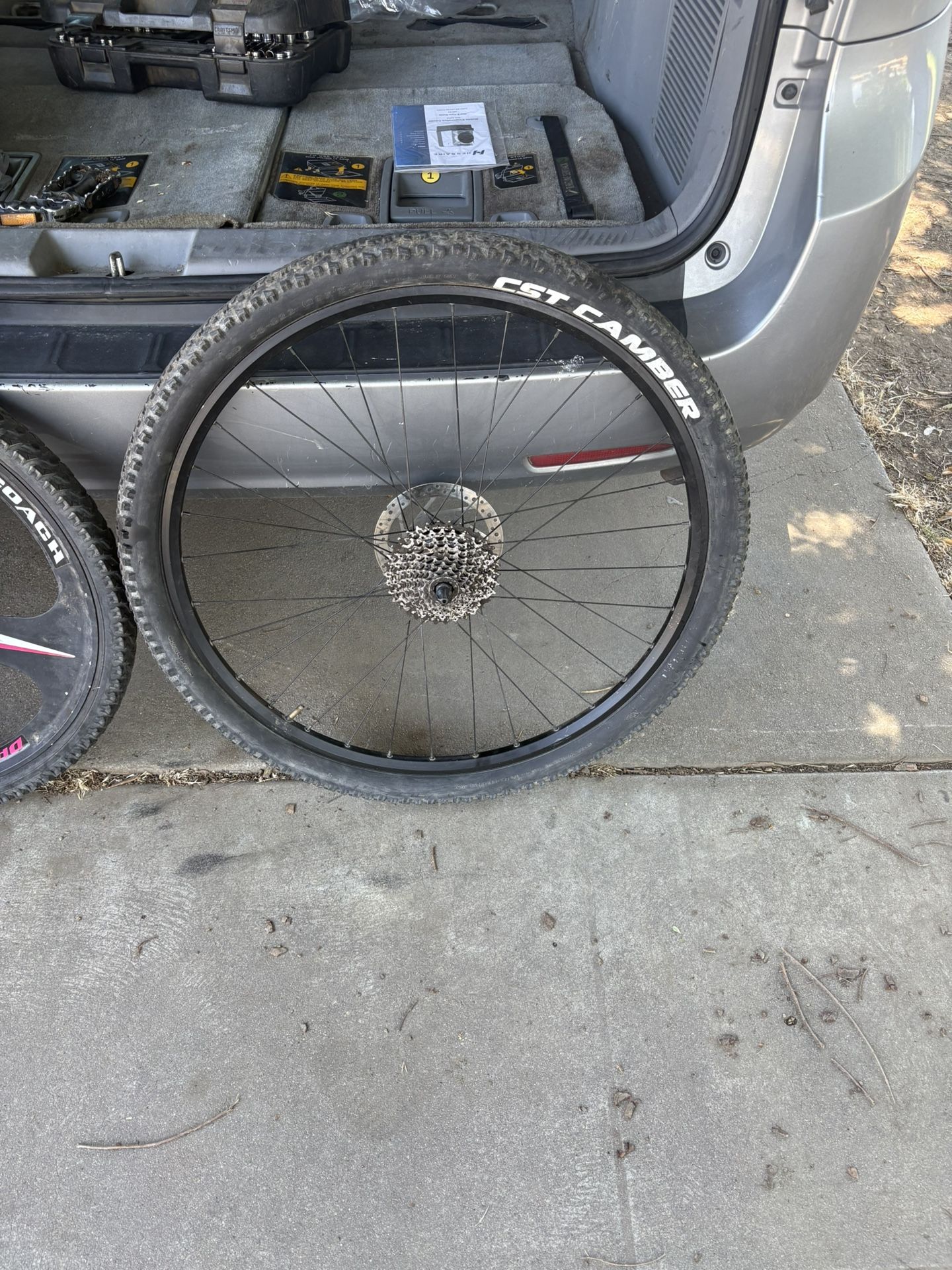 29 Inch Wheel