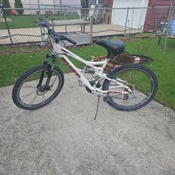 Adult Bike 26in