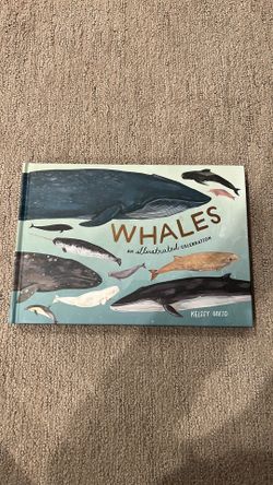 WHALES an illustrated celebration by Kelsey Oseid