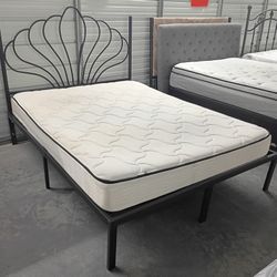 8" Queen Spring Mattress 