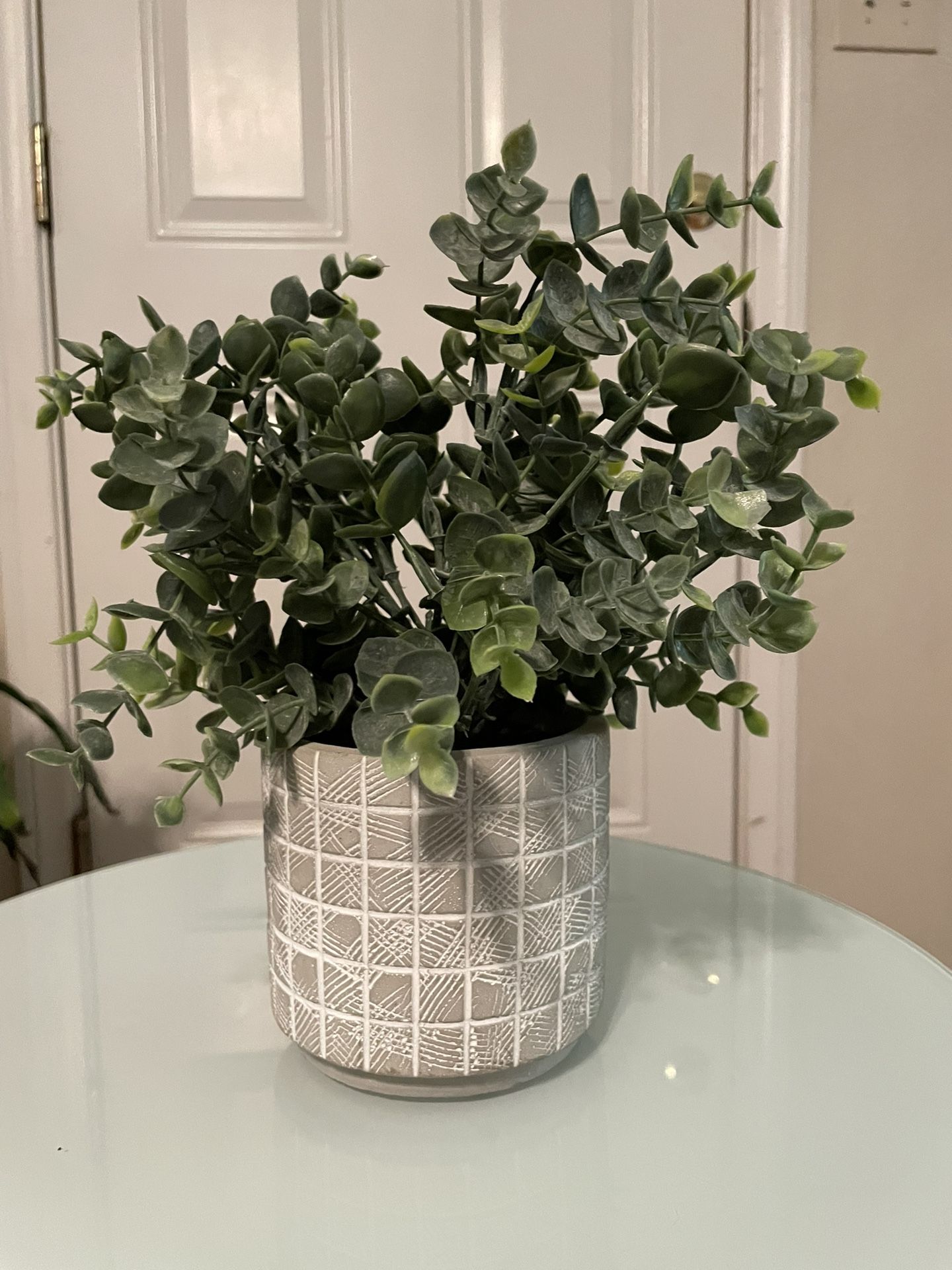 Artificial Eucalyptus Plant in Textured Pot