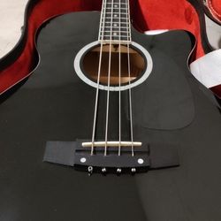 Bajoloche / Acustic and electric  Bass
