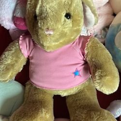 Build A Bear Bunny 