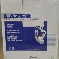 Halo LZR401P LZR401 Lazer Low Voltage Lampholder With Integral 12 VAC Transformer, MR16 Lamp, 12 VAC, Gimbal Head