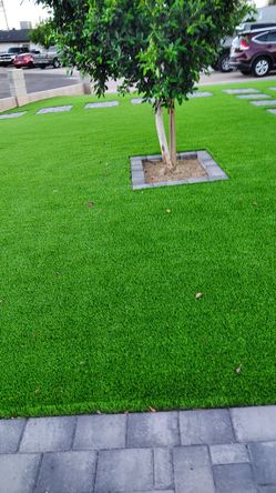 Pavers Turf For Sale 