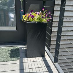 Modern Square Planters