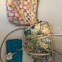 Two Handbags & One Wallet 