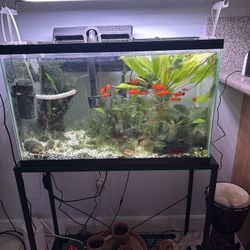 Aquarium Fresh Water