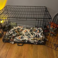 Dog Cage 