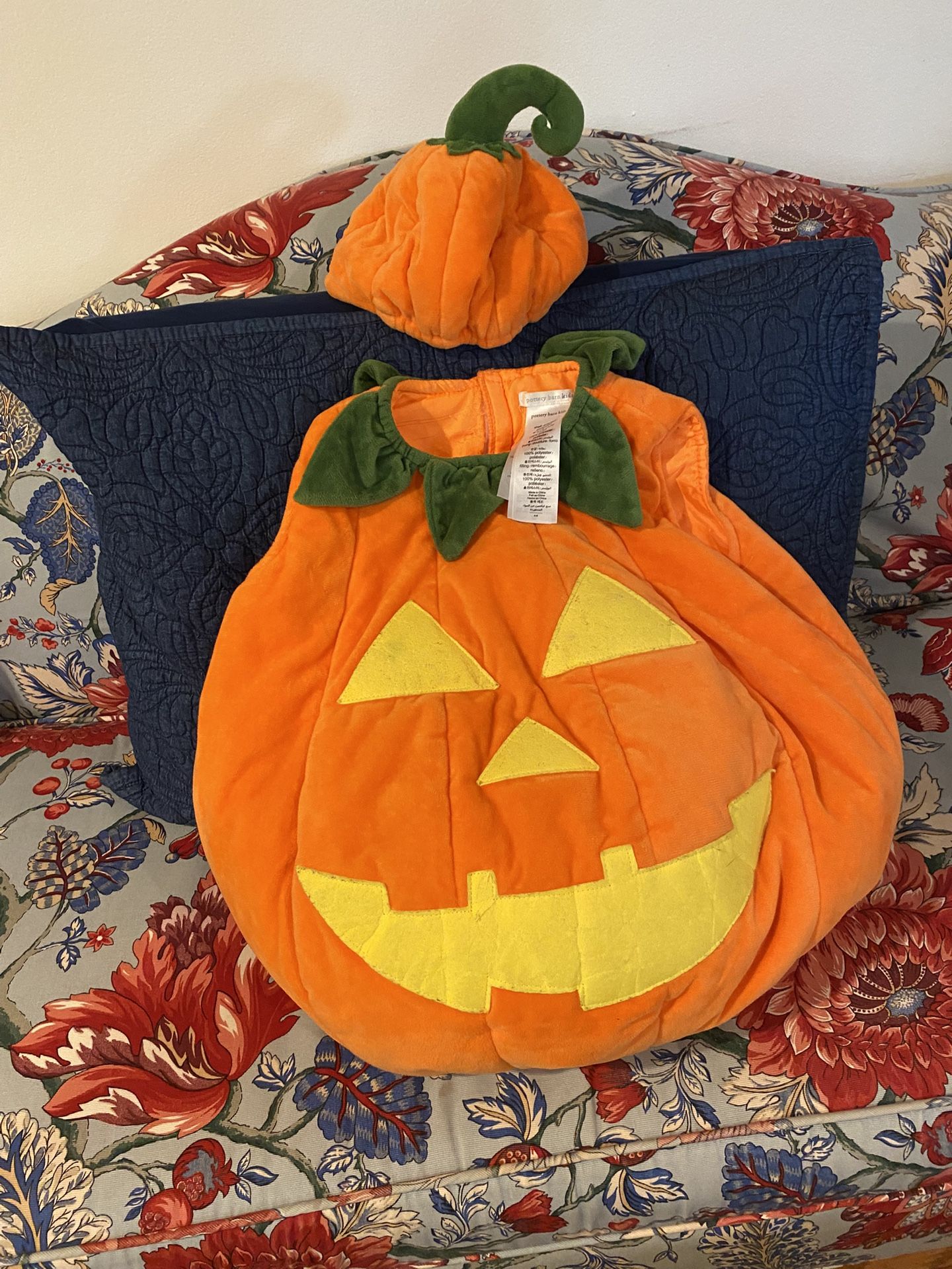 Pottery Barn Pumpkin Halloween Costume