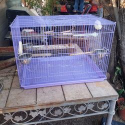 Bird Cage