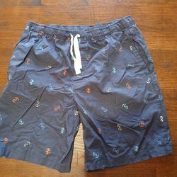 Mens Clothes Size xl izod shorts