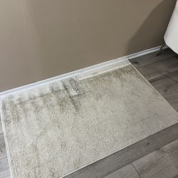 Rectangle Rug $10