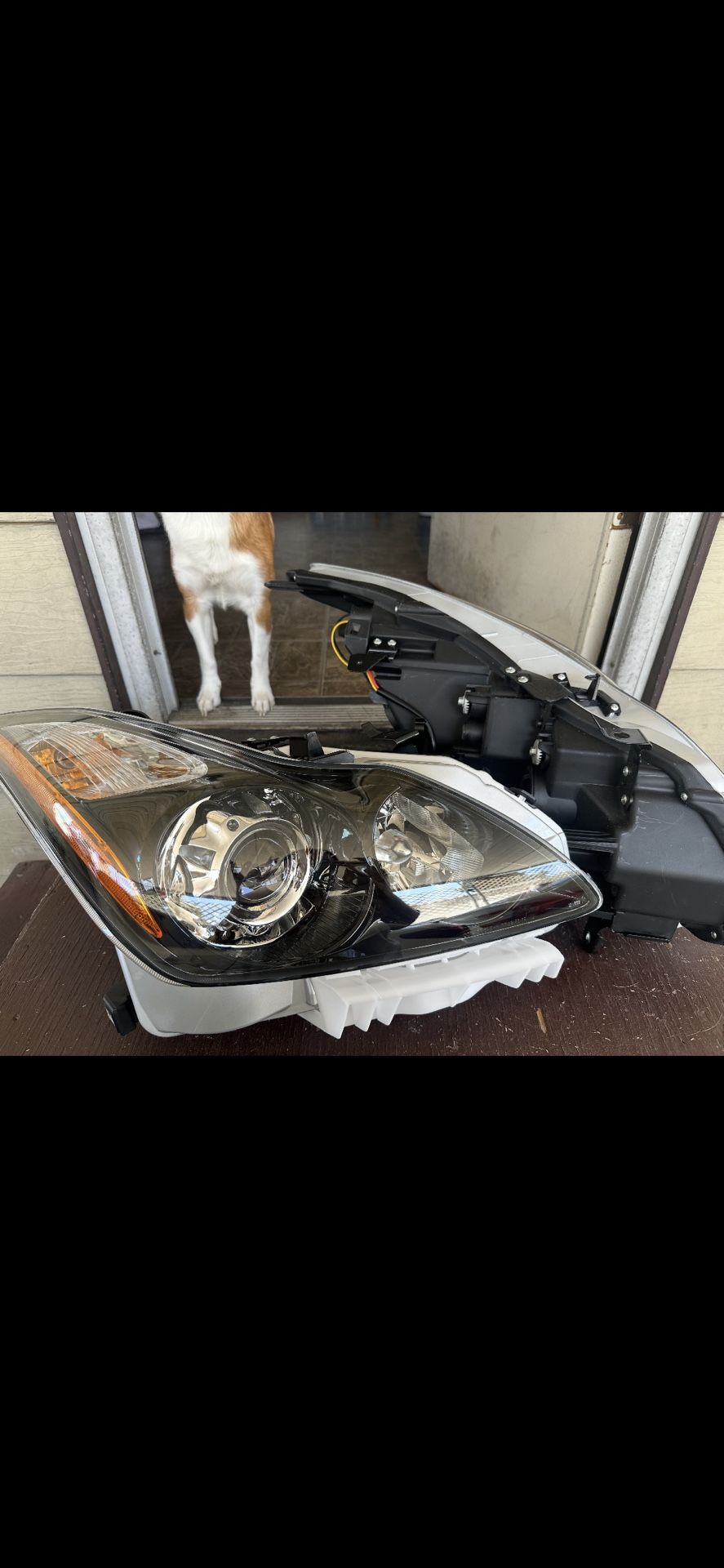 G37 Headlights New